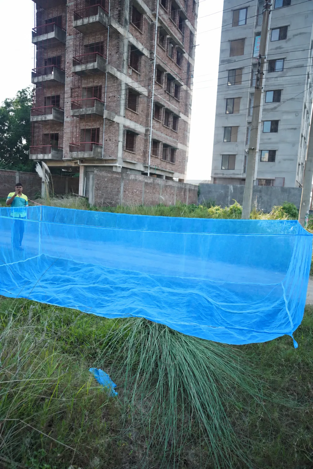 Vivid Blue Net in Urban Lot